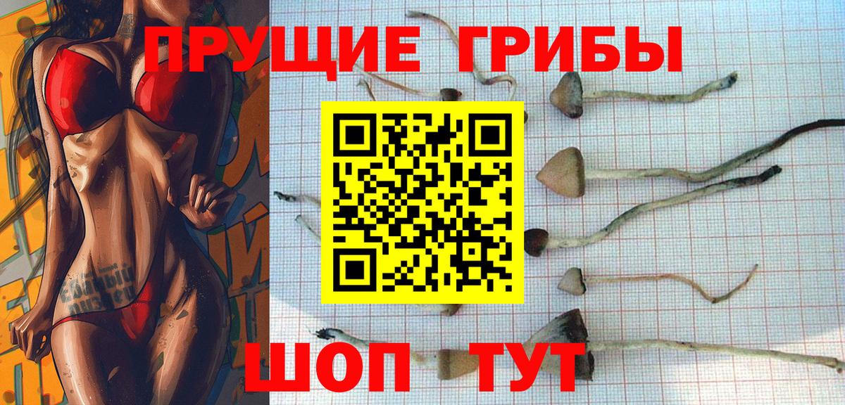 Галлюциногенные грибы GOLDEN TEACHER Троицк
